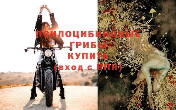 винт Алексин