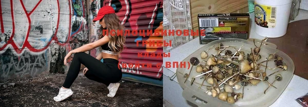 mix Алексеевка
