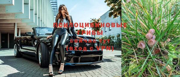 винт Алексин