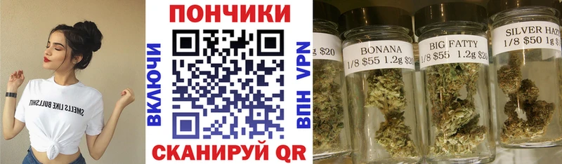 Шишки марихуана THC 21%  Каргат 